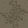 mp4_11.s6.png