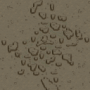 mp4_11.s1.png