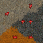 spiders.png
