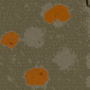 eden02.s6.png