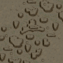 mp2_08.s6.png