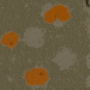 eden02.s1.png